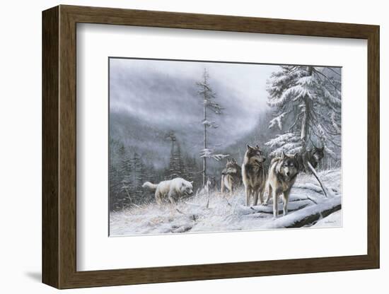 Search for Survival-Kevin Daniel-Framed Art Print