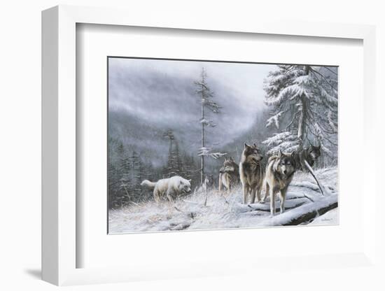 Search for Survival-Kevin Daniel-Framed Art Print