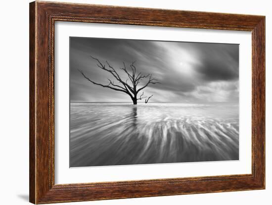 Searching for Life-Moises Levy-Framed Photographic Print