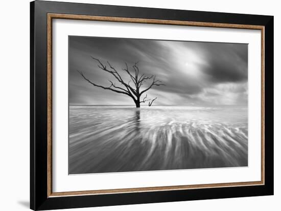 Searching for Life-Moises Levy-Framed Photographic Print