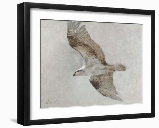 Searching Osprey-Todd Telander-Framed Art Print