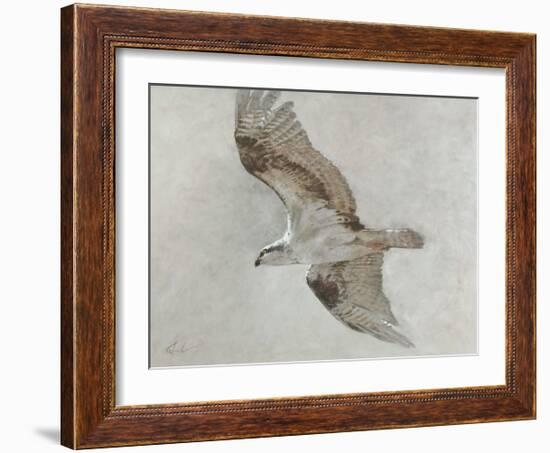 Searching Osprey-Todd Telander-Framed Art Print