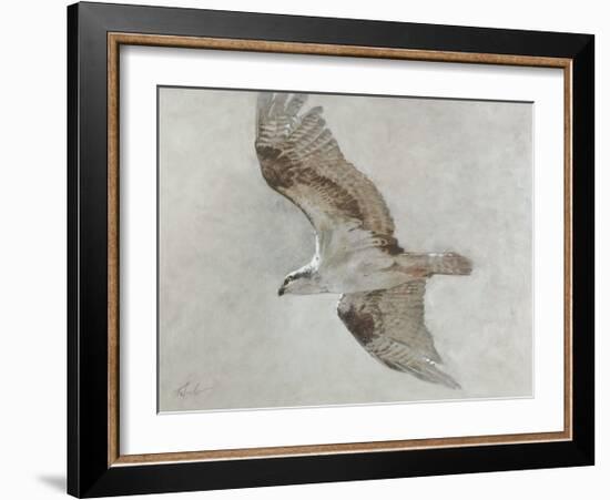 Searching Osprey-Todd Telander-Framed Art Print
