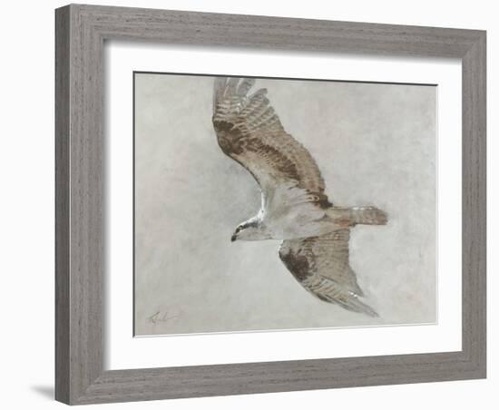 Searching Osprey-Todd Telander-Framed Art Print