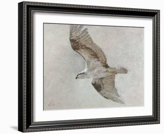 Searching Osprey-Todd Telander-Framed Art Print