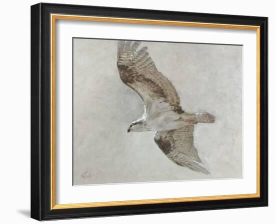 Searching Osprey-Todd Telander-Framed Art Print