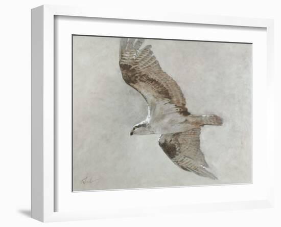 Searching Osprey-Todd Telander-Framed Art Print