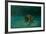 Searching the Shallows-Michael Jackson-Framed Giclee Print