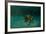 Searching the Shallows-Michael Jackson-Framed Giclee Print