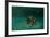 Searching the Shallows-Michael Jackson-Framed Giclee Print