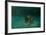 Searching the Shallows-Michael Jackson-Framed Giclee Print