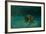 Searching the Shallows-Michael Jackson-Framed Giclee Print