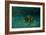 Searching the Shallows-Michael Jackson-Framed Giclee Print