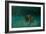 Searching the Shallows-Michael Jackson-Framed Giclee Print