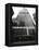 Sears Tower No More-Charles Rex Arbogast-Framed Premier Image Canvas