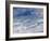 Seascape, 1879-Pierre-Auguste Renoir-Framed Giclee Print