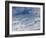 Seascape, 1879-Pierre-Auguste Renoir-Framed Giclee Print