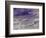 Seascape, 1879-Pierre-Auguste Renoir-Framed Art Print