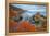 Seascape at Soberanes Point-Vincent James-Framed Premier Image Canvas