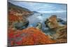 Seascape at Soberanes Point-Vincent James-Mounted Photographic Print
