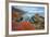 Seascape at Soberanes Point-Vincent James-Framed Photographic Print