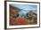 Seascape at Soberanes Point-Vincent James-Framed Photographic Print