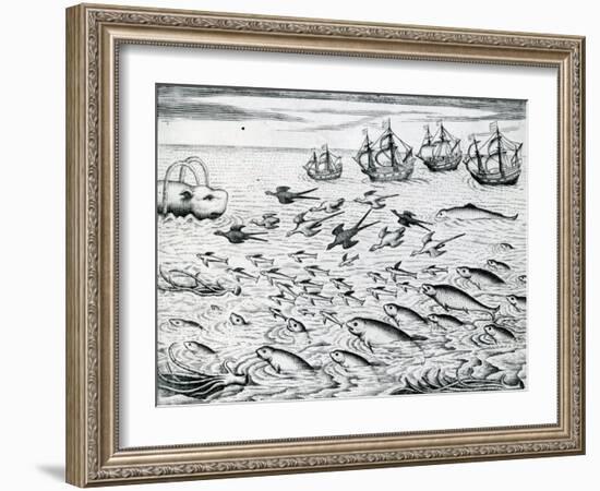 Seascape from 'India Orientalis', 1598-Theodore de Bry-Framed Giclee Print