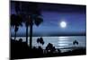 Seascape Night Moon-Alex Hanson-Mounted Art Print