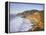 Seascape with Cliffs, San Mateo County, CA-Shmuel Thaler-Framed Premier Image Canvas