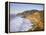 Seascape with Cliffs, San Mateo County, CA-Shmuel Thaler-Framed Premier Image Canvas