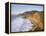 Seascape with Cliffs, San Mateo County, CA-Shmuel Thaler-Framed Premier Image Canvas