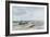 Seascape-Thomas Collier-Framed Giclee Print