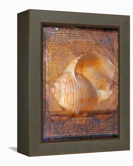 Seashell and Handwriting-Colin Anderson-Framed Premier Image Canvas