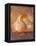 Seashell and Handwriting-Colin Anderson-Framed Premier Image Canvas