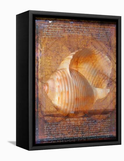 Seashell and Handwriting-Colin Anderson-Framed Premier Image Canvas