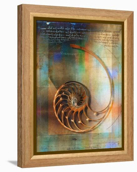 Seashell and Handwriting-Colin Anderson-Framed Premier Image Canvas