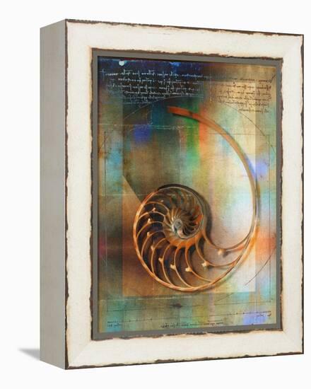 Seashell and Handwriting-Colin Anderson-Framed Premier Image Canvas