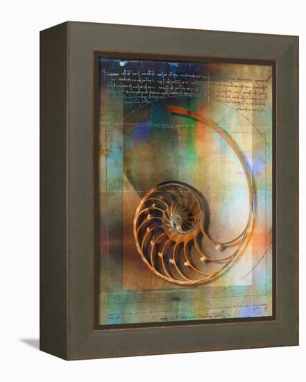 Seashell and Handwriting-Colin Anderson-Framed Premier Image Canvas