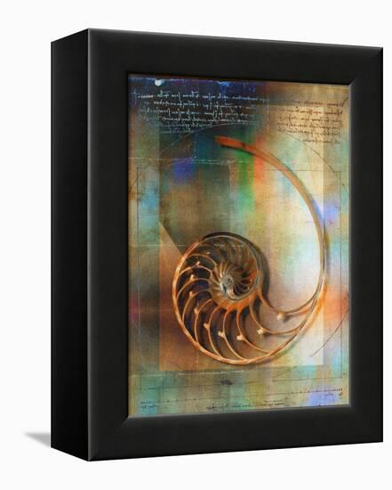 Seashell and Handwriting-Colin Anderson-Framed Premier Image Canvas