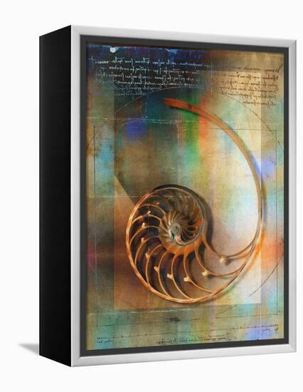 Seashell and Handwriting-Colin Anderson-Framed Premier Image Canvas