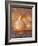 Seashell and Handwriting-Colin Anderson-Framed Photographic Print