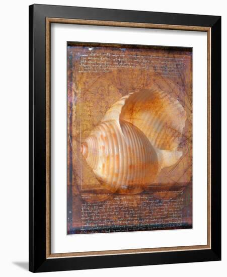 Seashell and Handwriting-Colin Anderson-Framed Photographic Print