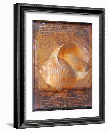 Seashell and Handwriting-Colin Anderson-Framed Photographic Print