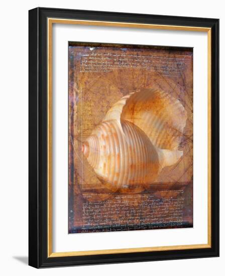 Seashell and Handwriting-Colin Anderson-Framed Photographic Print