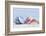 Seashell Background with Space for Text.-pdb1-Framed Photographic Print