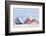 Seashell Background with Space for Text.-pdb1-Framed Photographic Print