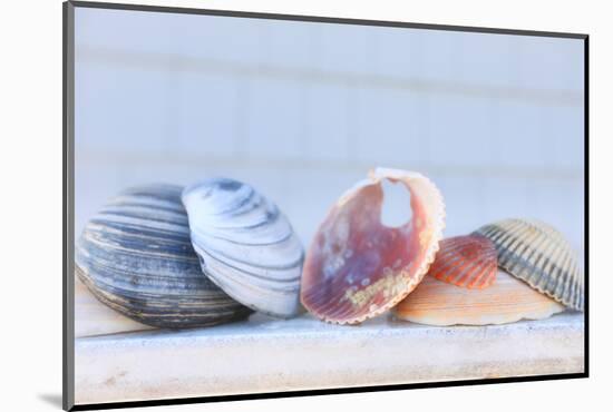 Seashell Background with Space for Text.-pdb1-Mounted Photographic Print