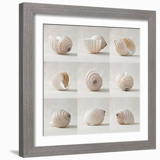 Seashell Chorus-Assaf Frank-Framed Giclee Print