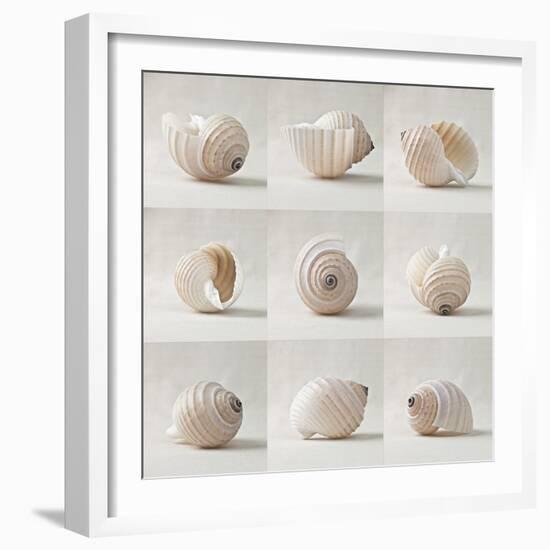 Seashell Chorus-Assaf Frank-Framed Giclee Print