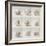 Seashell Chorus-Assaf Frank-Framed Giclee Print